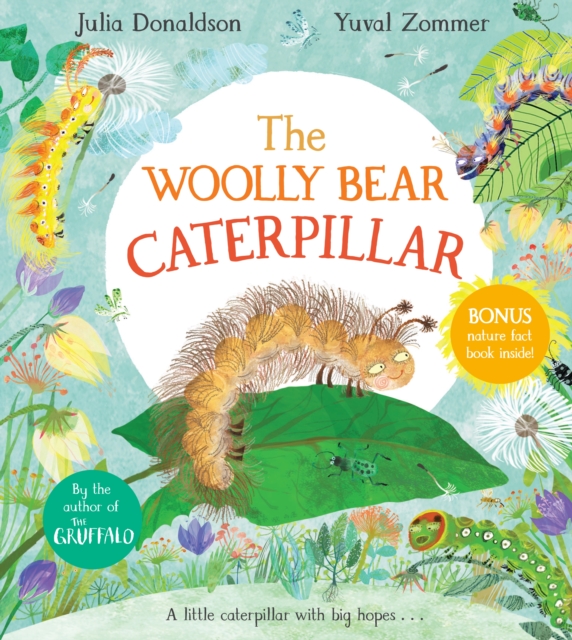 Woolly Bear Caterpillar - paperback