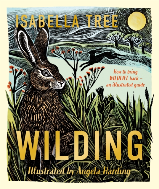 Wilding: Illustrated Version