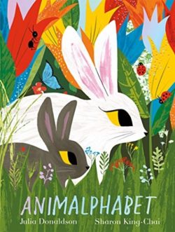 Animalphabet - paperback