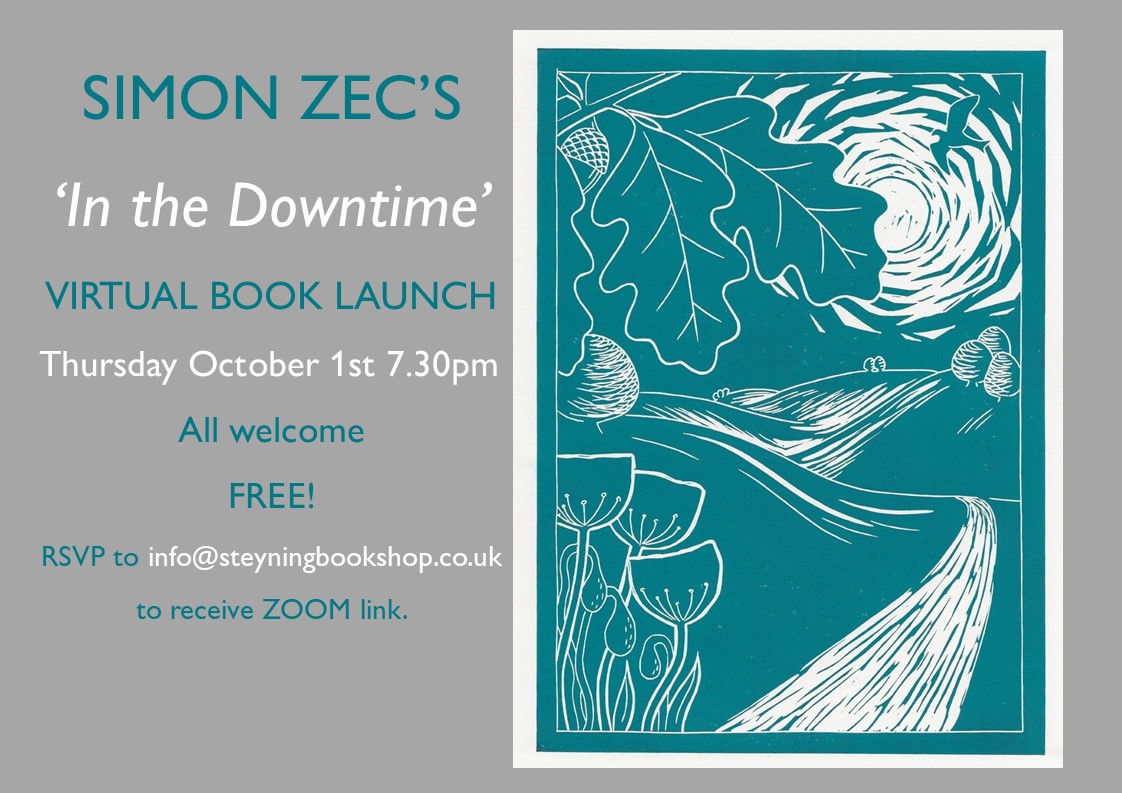 in the downtime launch image