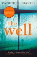 well cover lo-res the well cover Catherine chanter